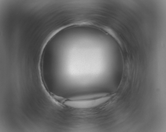 X0000054390959200508121629