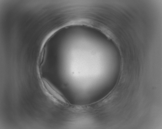 X0000054390960200508121629