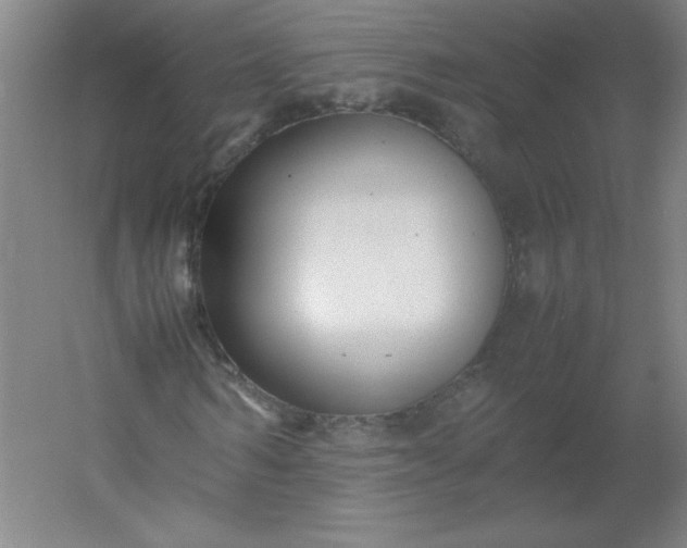 X0000054390962200508121628