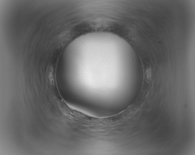 X0000054390963200508121628