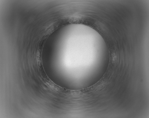 X0000054390964200508121628