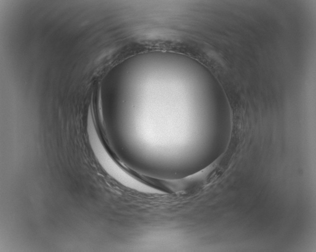 X0000054390965200508121628