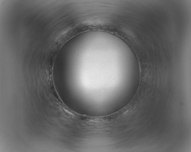 X0000054390966200508121628