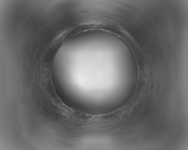 X0000054390967200508121628