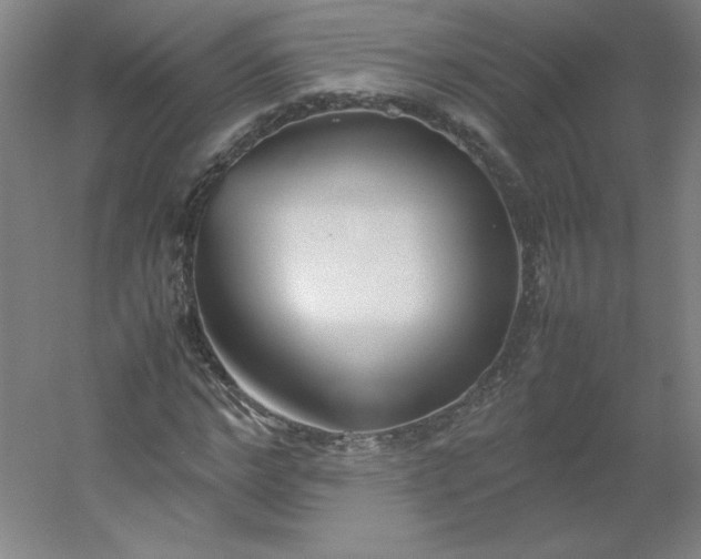 X0000054390968200508121628