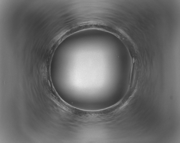 X0000054390969200508121628