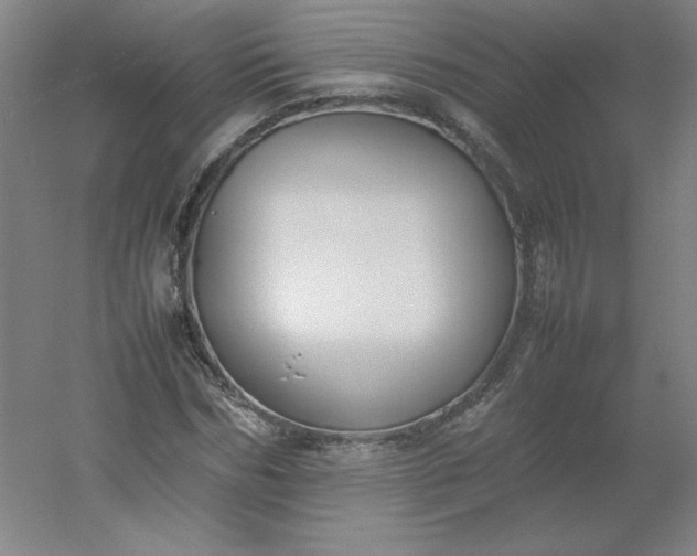 X0000054390970200508121628