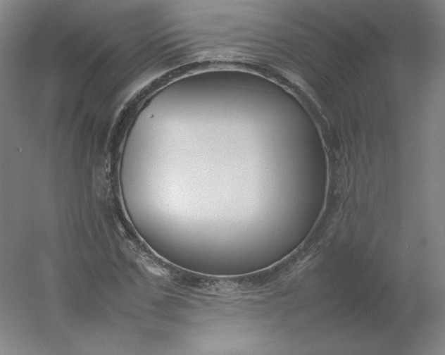 X0000054390971200508121628