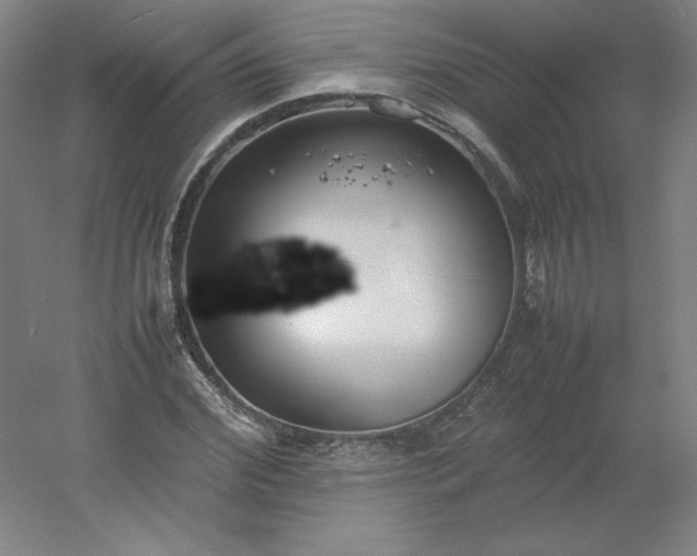 X0000054390972200508121628