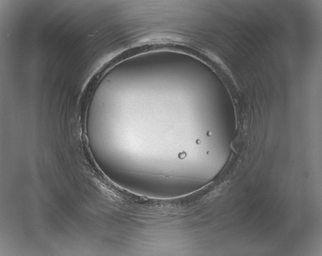 X0000054390973200508121628