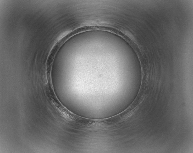 X0000054390974200508121628