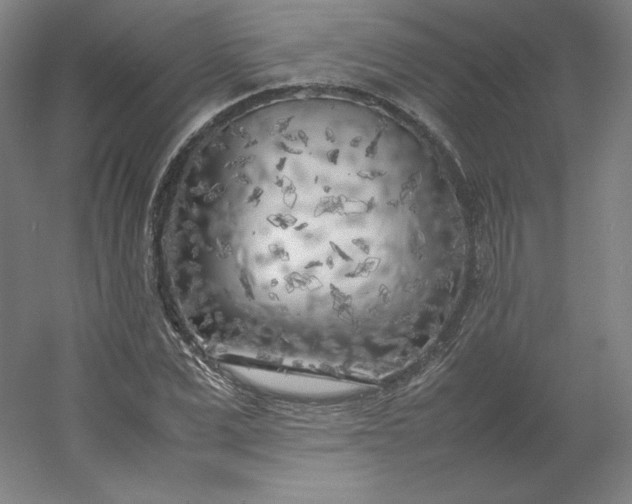 X0000054390975200508121628