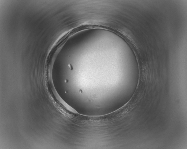 X0000054390976200508121628