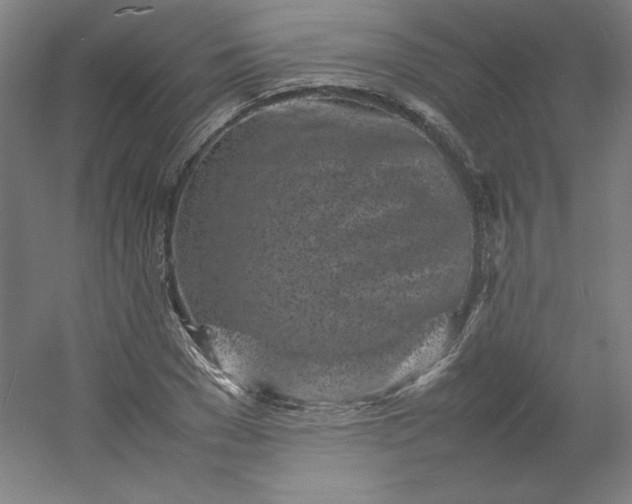 X0000054390977200508121628