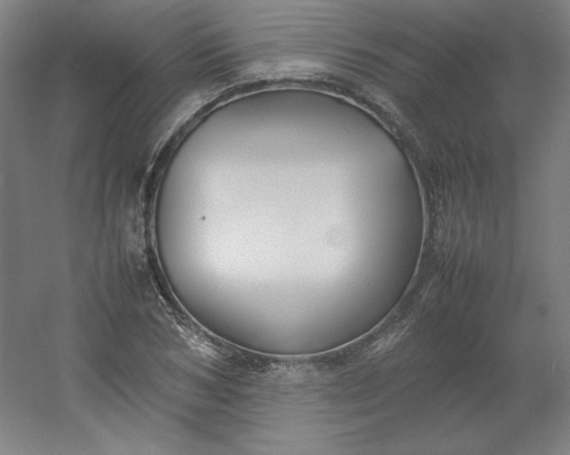 X0000054390978200508121628