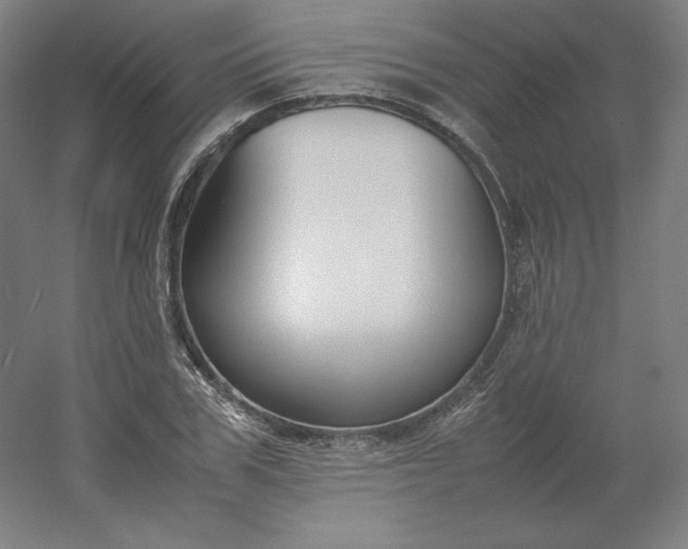 X0000054390979200508121628