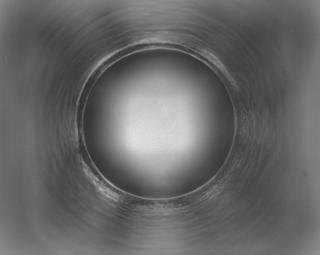 X0000054390980200508121628