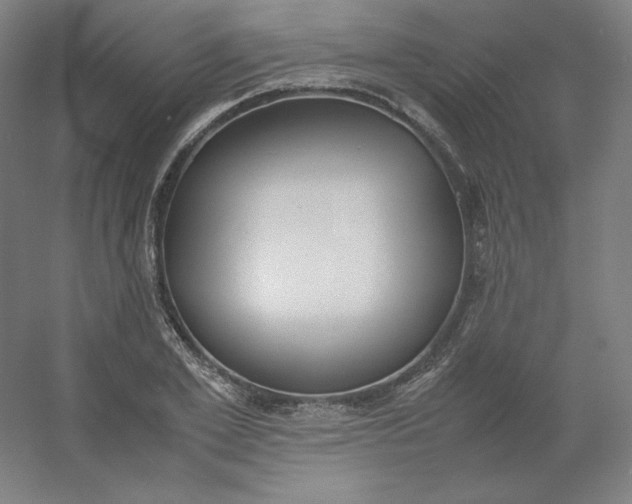 X0000054390981200508121628