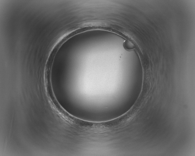 X0000054390983200508121628