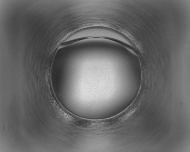 X0000054390985200508121628