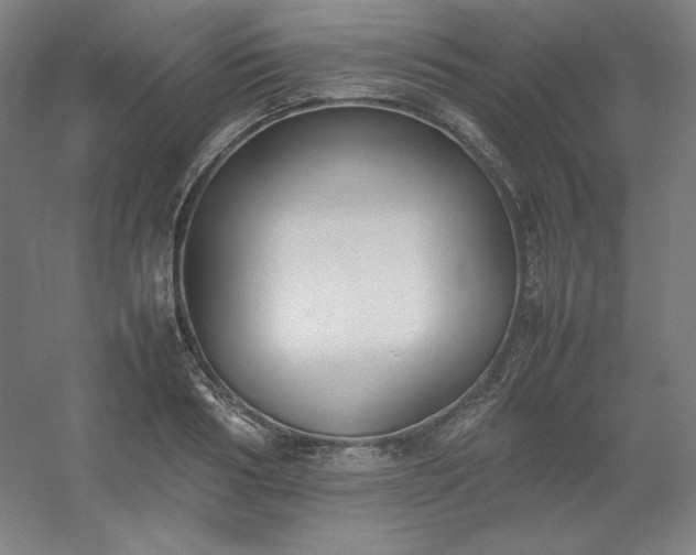 X0000054390986200508121628