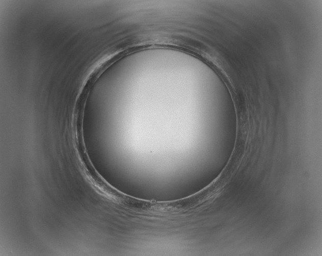 X0000054390987200508121628