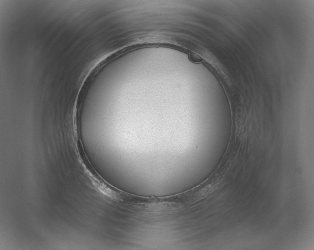 X0000054390988200508121628