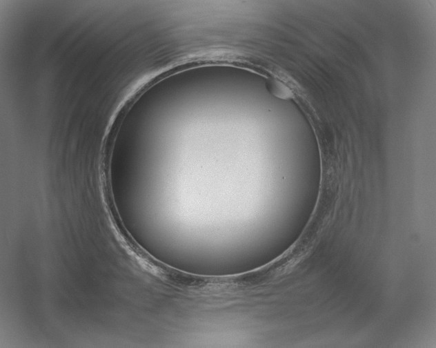 X0000054390989200508121628