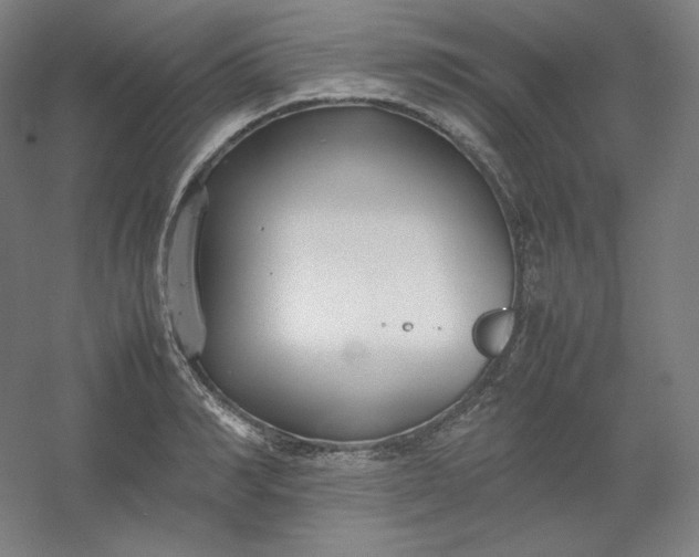 X0000054390990200508121628