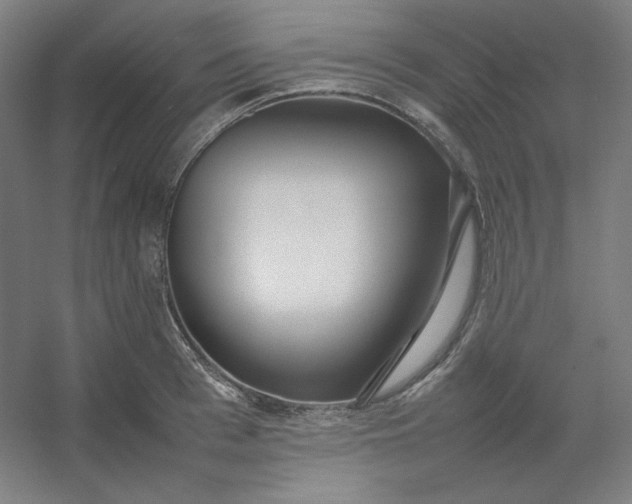 X0000054390993200508121628