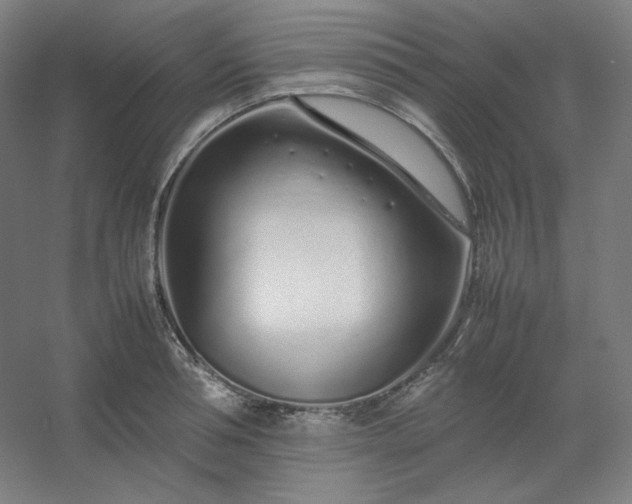 X0000054390994200508121628