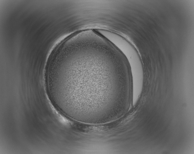 X0000054390995200508121628