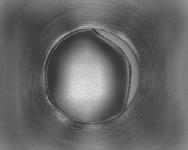 X0000054390996200508121628