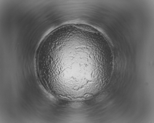 X0000054390998200508121628