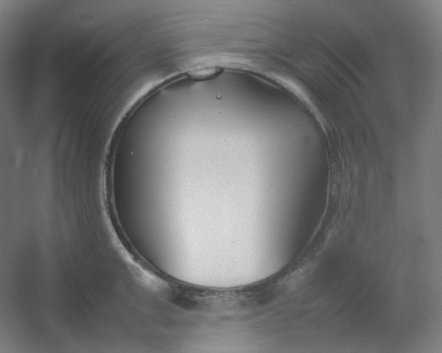 X0000054390999200508121628