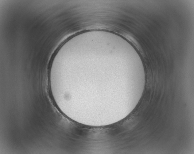 X0000054391000200508121628