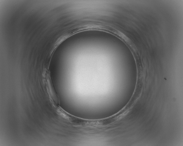 X0000054391001200508121628