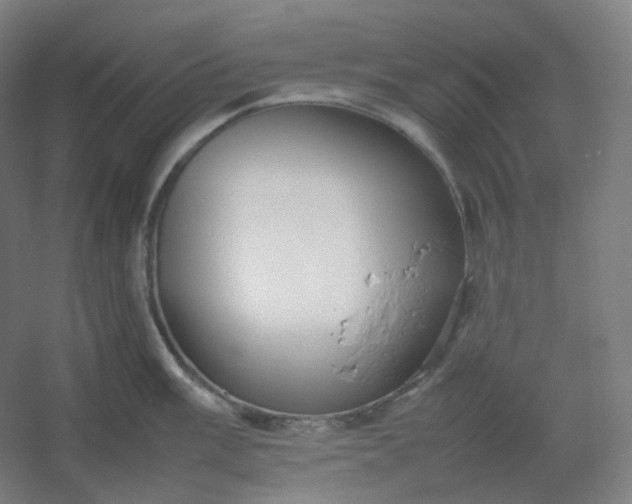 X0000054391003200508121628