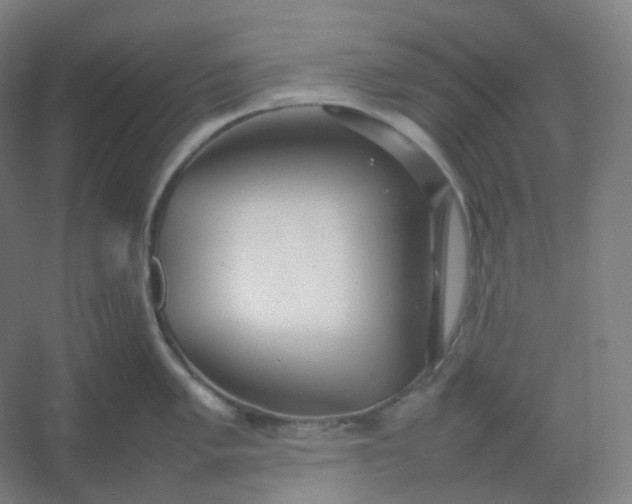 X0000054391005200508121628