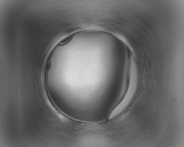 X0000054391007200508121628