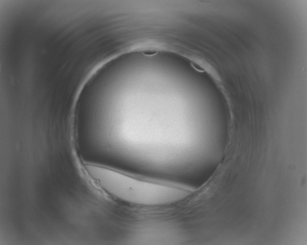 X0000054391008200508121628