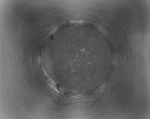 X0000054391010200508121627