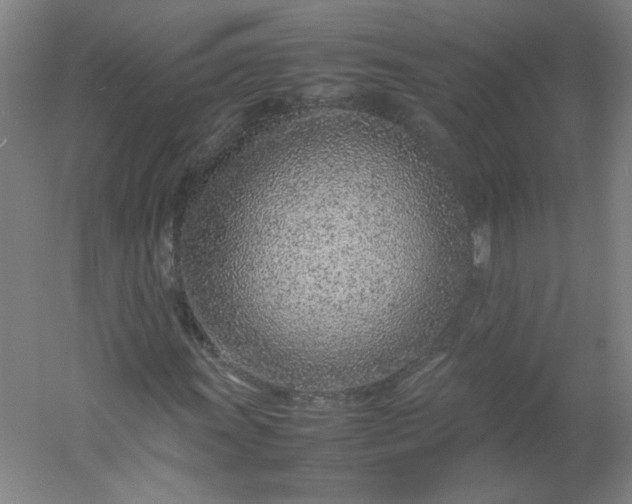 X0000054391011200508121627