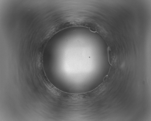 X0000054391012200508121627