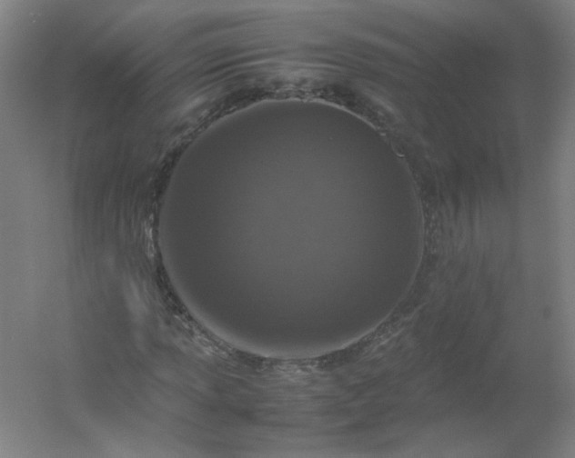 X0000054391013200508121627