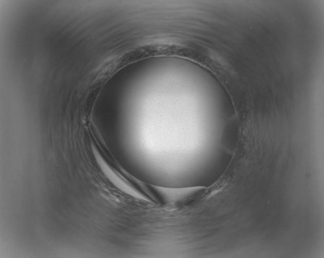 X0000054391014200508121627