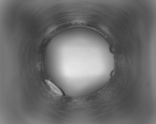 X0000054391015200508121627