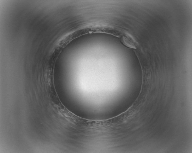 X0000054391016200508121627