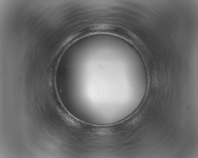 X0000054391017200508121627