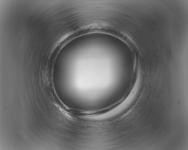 X0000054391018200508121627